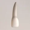 lateral incisor tooth