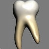 puntea dentara, alegerea dintilor stalpi : al doilea molar inferior