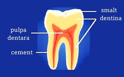 structura dintelui