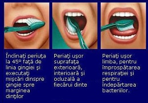 sanatatea dintilor: tehnica periajului dentar corect